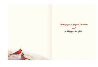 Lang Wintertime Cardinal Boxed Christmas Cards