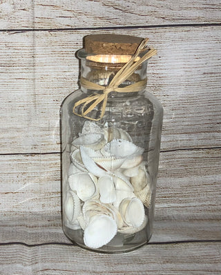 Sea Shell Jar