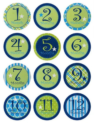 Blossom & Buds My First Year Belly Stickers Boy