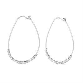Whispers Silver Iron Seeds Dangle Earrings WN004059