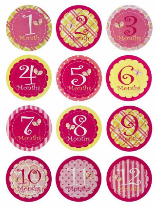 Blossom & Buds First Year Belly Stickers Girl