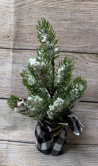 Pine Tree w/Black White Check Wrapped Base