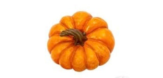 Resin Slanted Harvest Pumpkin