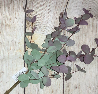 Eucalyptus Pick, 18”