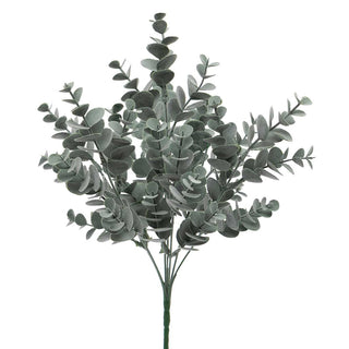 Eucalyptus Bush