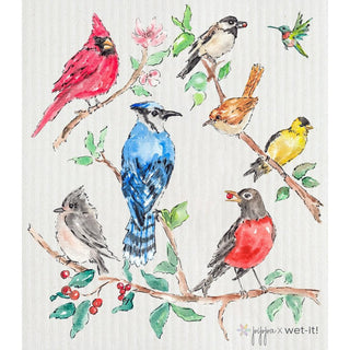 Wet It! Backyard Buddies Swedish Dishcloth