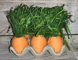 Carrots in Carton Style 2