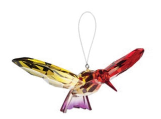 Acrylic Rainbow Hummingbird