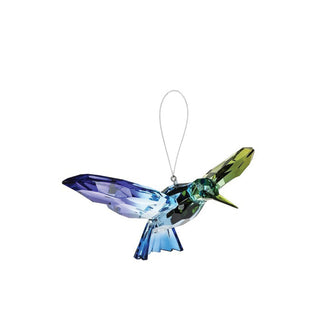 Acrylic Rainbow Hummingbird