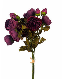 Plum Ranunculus Bundle, 17”