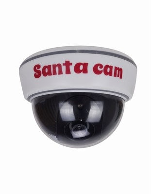 Santa Cam Surveillance