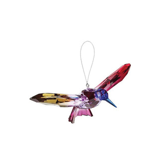 Acrylic Rainbow Hummingbird