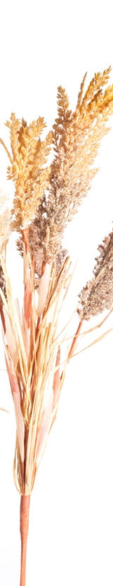 Field Grass Bush 31”