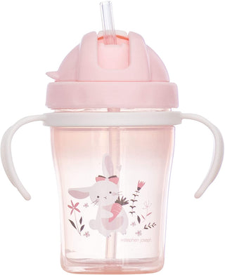 Straw Sippy Cup