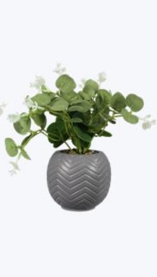 Ceramic Planter w/Succulent