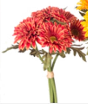 Zinnia Bundle, 11”
