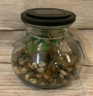 Solar Lantern w/Plant