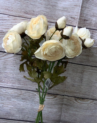 Beige Ranunculus Bundle, 18”
