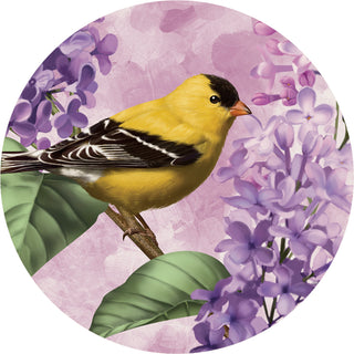 Gold Finch Car Coaster 78177