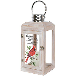 Cardinal Memorial Lantern