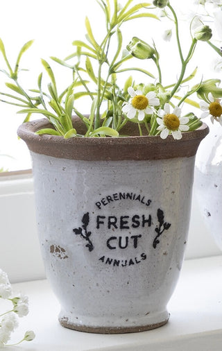 Fresh Cut Perennials Annuals Vase