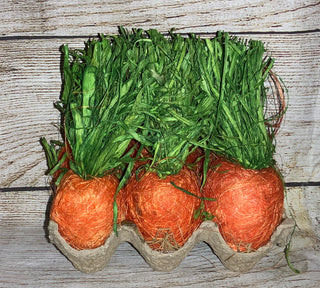 Carrots in Carton Style 1