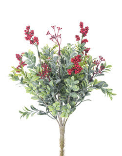 Boxwood Bush, 14”