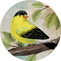 Gold Finch Car Coaster