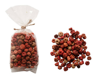 Dried Small Pumpkins in a Bag Orange