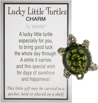 Lucky Little Turtle Charm