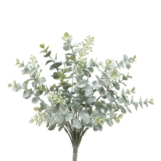 Eucalyptus & Berry Bush